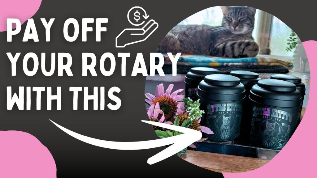 How My Cat Paid Off My Vista WeCreat Rotary&nbsp;Pro